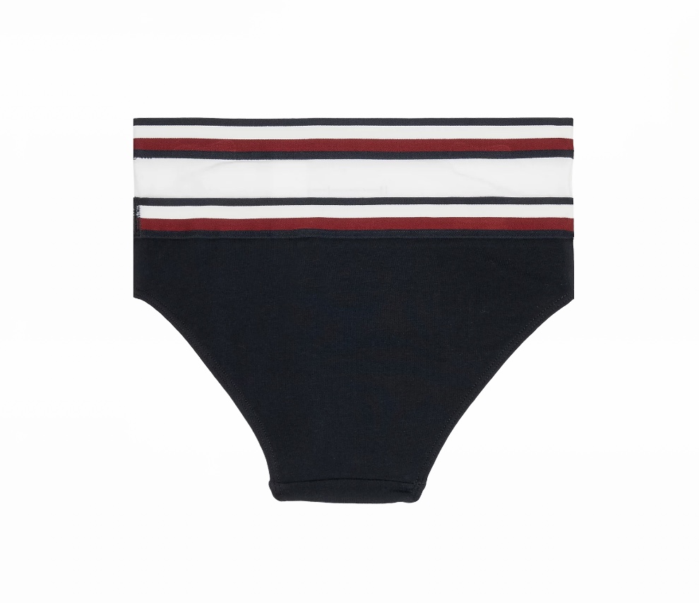 Tommy Hilfiger εσώρουχα μπλε λευκό UG0UG00625-0VZ