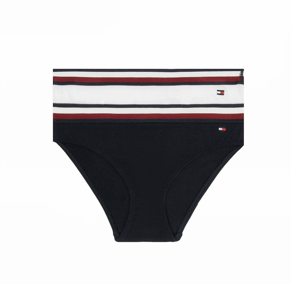 Tommy Hilfiger εσώρουχα μπλε λευκό UG0UG00625-0VZ